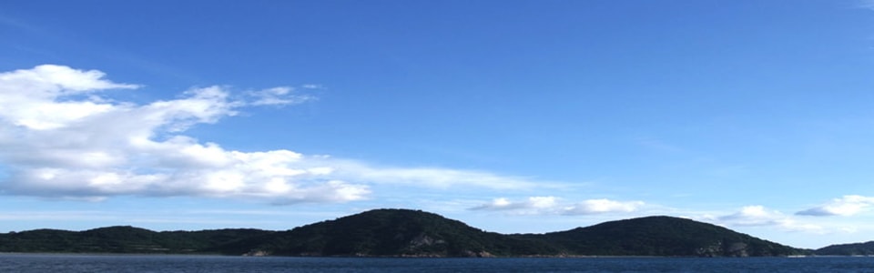 フォトサンプル
